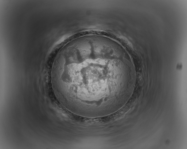 X0000100481159200806201623