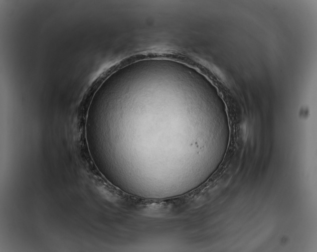 X0000100481160200806201623