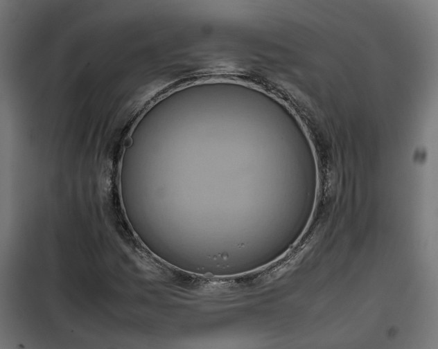 X0000100481161200806201623