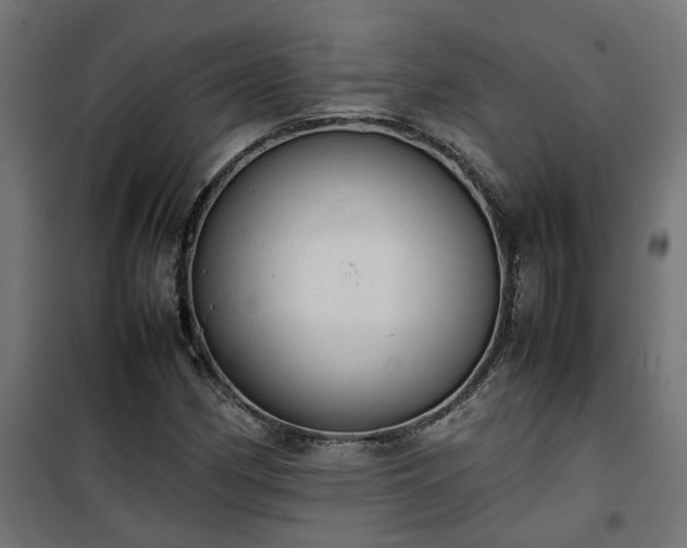 X0000100481162200806201623