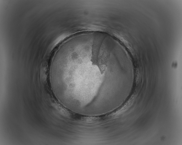 X0000100481163200806201623