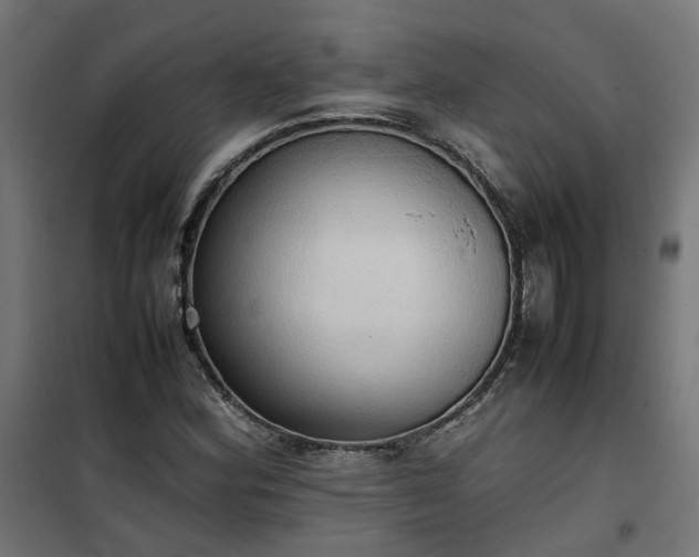 X0000100481164200806201623
