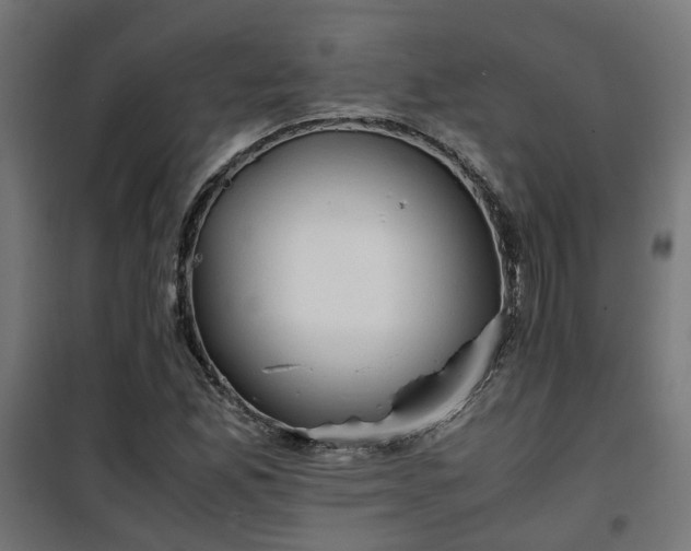 X0000100481165200806201623