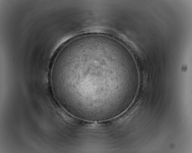 X0000100481166200806201623