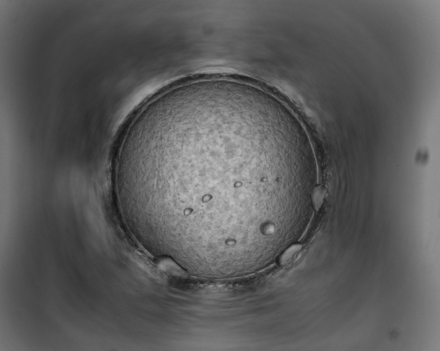 X0000100481167200806201623