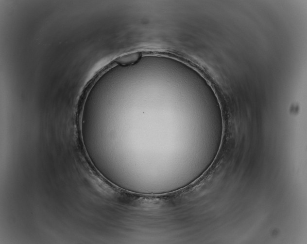 X0000100481168200806201623