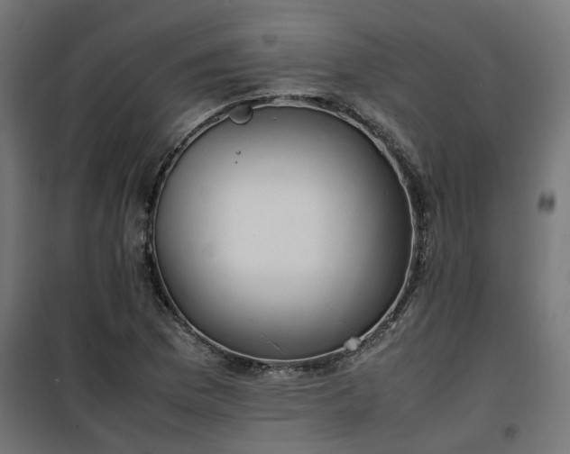 X0000100481169200806201623