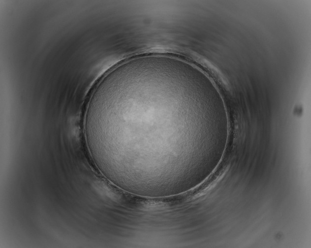 X0000100481170200806201623
