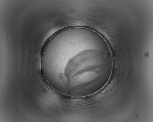 X0000100481171200806201623