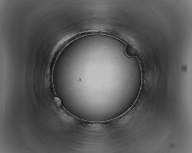 X0000100481172200806201623