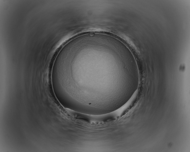 X0000100481173200806201623