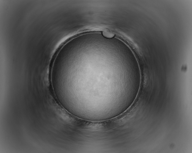 X0000100481174200806201623