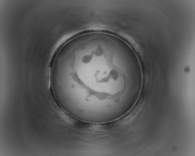 X0000100481175200806201623
