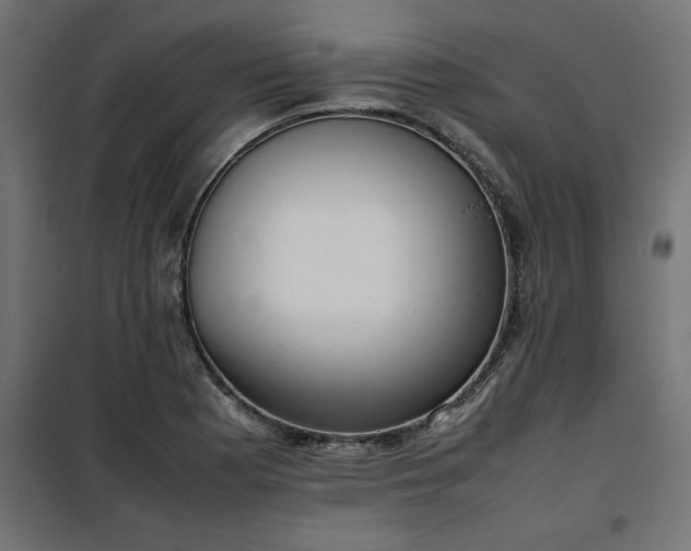 X0000100481177200806201623