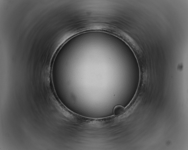 X0000100481178200806201623