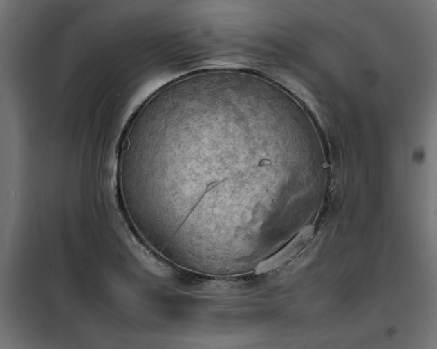 X0000100481179200806201623