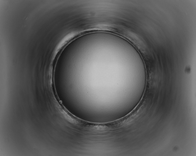 X0000100481180200806201623