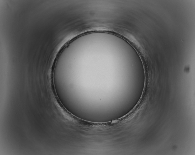 X0000100481181200806201623