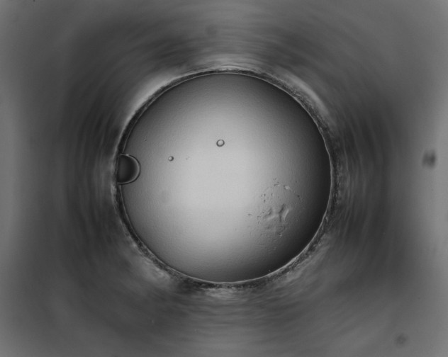 X0000100481182200806201623