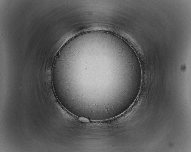 X0000100481185200806201622