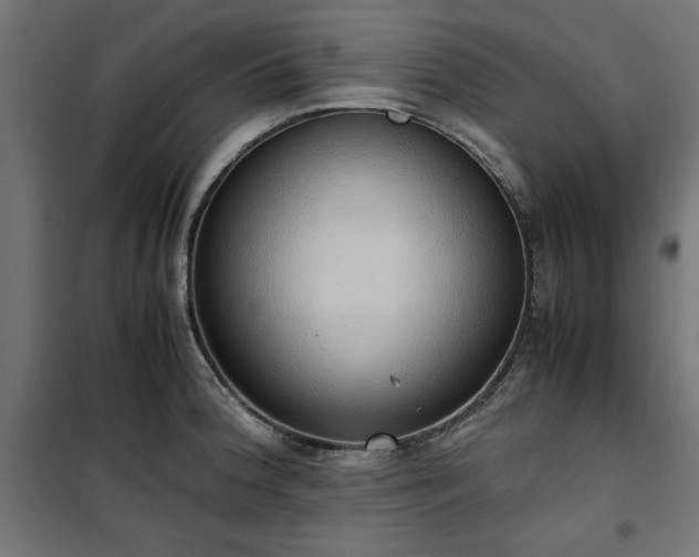 X0000100481188200806201622