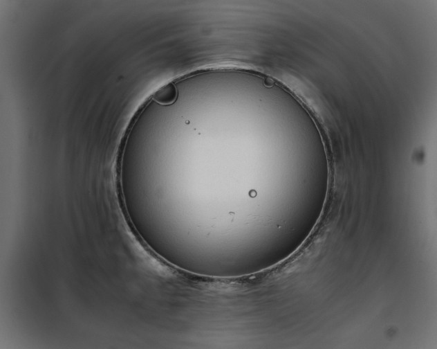 X0000100481189200806201622