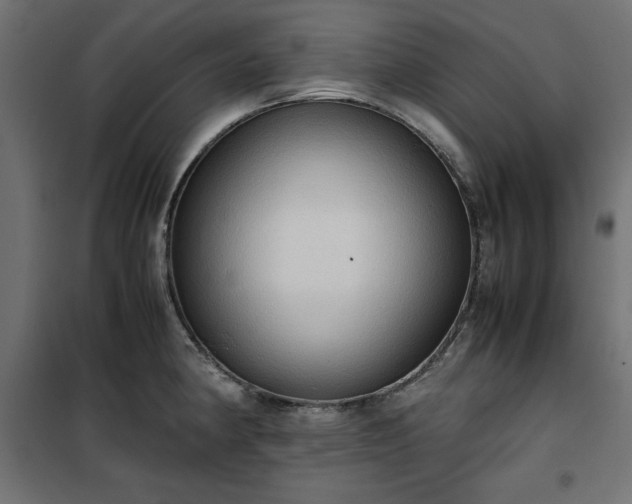 X0000100481190200806201622