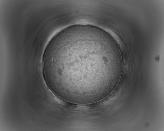 X0000100481191200806201622