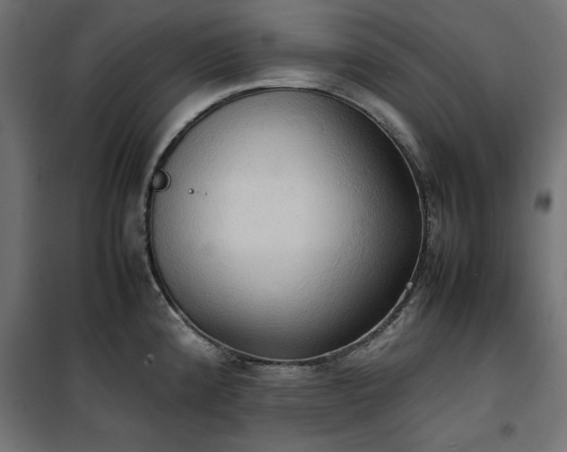 X0000100481192200806201622