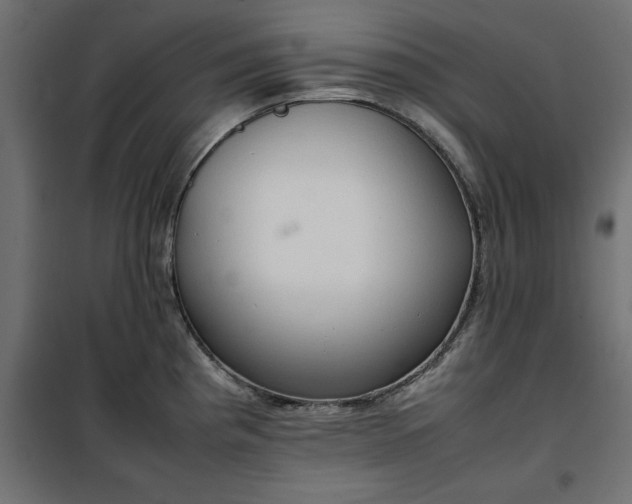 X0000100481193200806201622