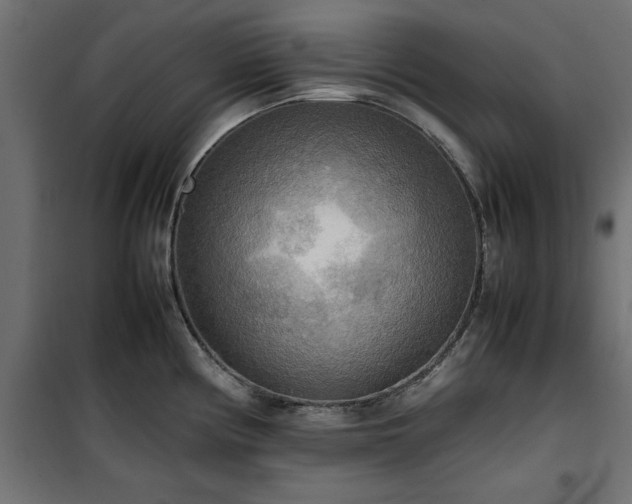 X0000100481194200806201622