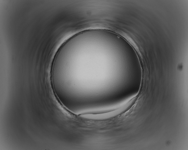 X0000100481197200806201622