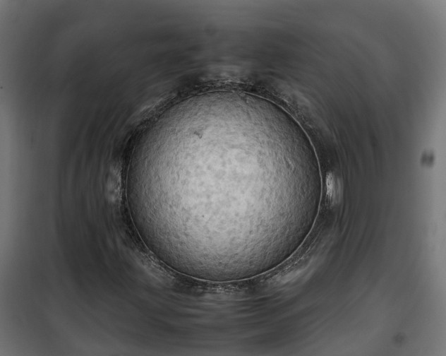 X0000100481203200806201622