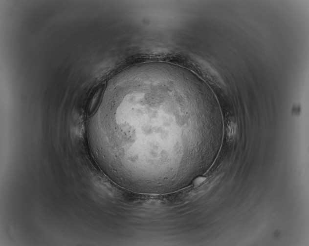 X0000100481204200806201622