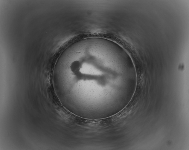 X0000100481205200806201622