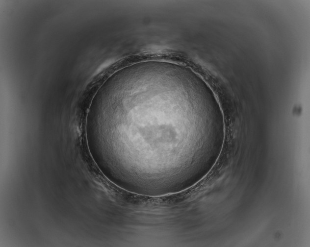 X0000100481206200806201622