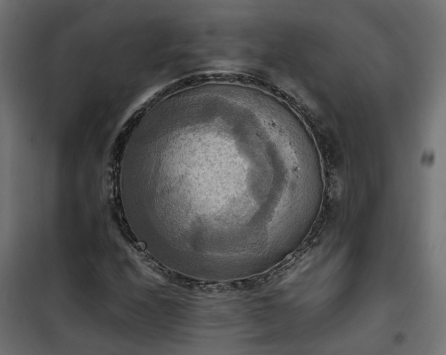 X0000100481208200806201622