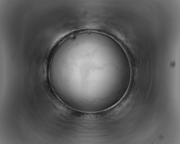 X0000100481214200806201622