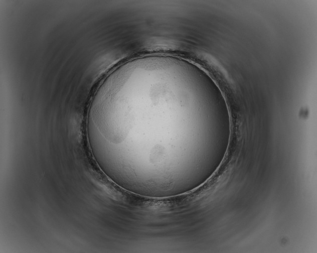 X0000100481217200806201622