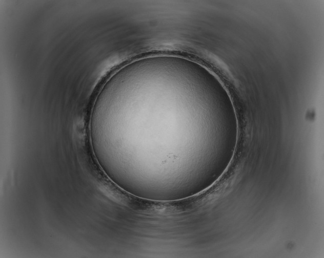 X0000100481218200806201622