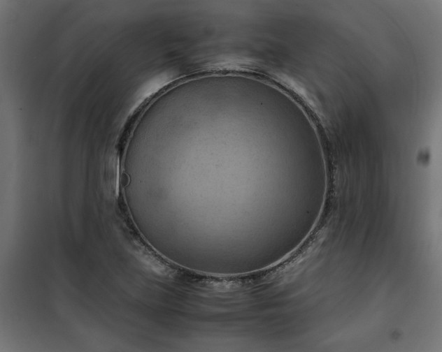 X0000100481219200806201622