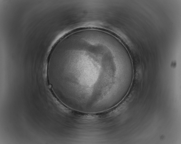 X0000100481224200806201622