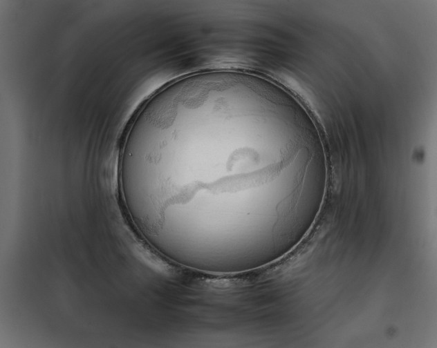 X0000100481227200806201622