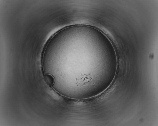X0000100481230200806201622