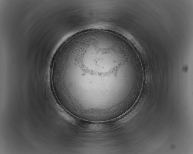 X0000100481232200806201622