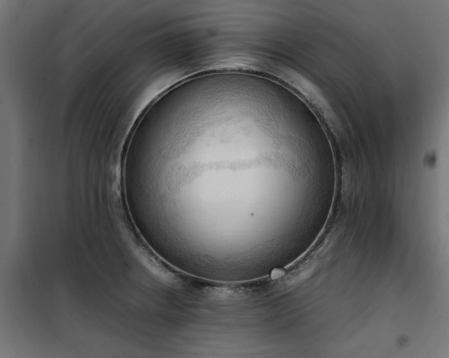 X0000100481234200806201622