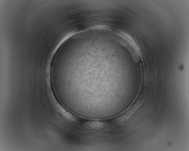 X0000100481235200806201622