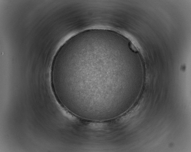 X0000100481237200806201622