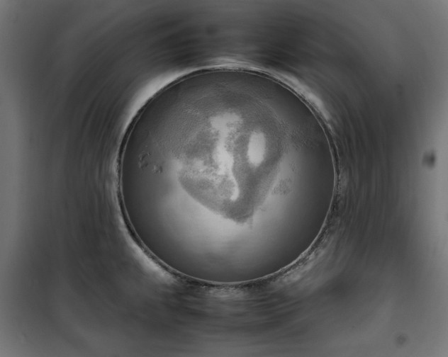 X0000100481239200806201622