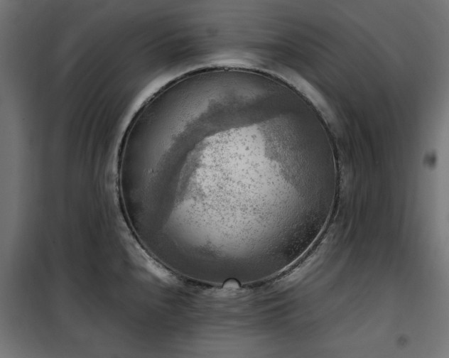 X0000100481240200806201622